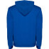 Фото #2 товара KRUSKIS Classic Bicolor hoodie