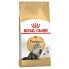 ROYAL 2kg cat food for persian