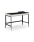 Фото #1 товара Drayden Writing Desk