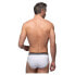 ABANDERADO ASA077H.001 Brief