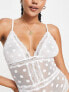 Topshop wren spot mesh lace trim body in white