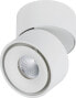 Lampa sufitowa Paulmann Oprawa nastropowa Spircle 8W 36st. 3000K 230/40V Weiß matt/Alu