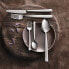 Set of Spoons Amefa Tokyo Metal Stainless steel Steel Coffee (12 Units)