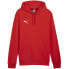 Фото #1 товара Puma Team Goal Casuals Hoody M 658618 01