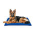 Фото #1 товара Коврик для собак Nayeco 90 x 105 cm Синий Акрил охлаждающего геля