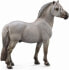 Figurka Collecta Koń Fjord stallion szary (88632)