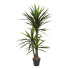 Фото #2 товара Искусственные цветы Homescapes Yucca Palme 150 см