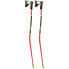 LEKI ALPINO WCR Lite GS 3D Poles