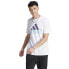Фото #1 товара T-shirt adidas Big Logo SJ Tee M IJ8579