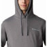 Фото #5 товара COLUMBIA Viewmont II Graphic hoodie