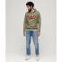 SUPERDRY Core Logo Classic hoodie