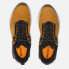 TIMBERLAND Field Trekker trainers