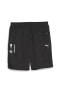 Фото #1 товара BMW MMS ESS Shorts Fleece