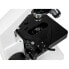 Фото #11 товара Opticon Genius microscope 40x-1250x - white