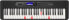 Фото #1 товара Casio LK-S450 Casiotone Top Illuminated Keyboard with 61 Velocity-Dynamic Keys in Piano Look with 600 Sounds and 200 Accompaniment Rhythms & Amazon Basics AA Alkaline Batteries