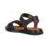 Фото #4 товара GEOX Dandra sandals