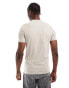 AllSaints Brace brushed cotton t-shirt in stone