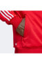 Фото #23 товара Олимпийка Adidas Erkek Orginals Ceket FBIRD TT IA6342