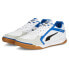 ფოტო #1 პროდუქტის PUMA Ibero II Shoes