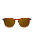 Фото #1 товара WALL TORTOISE POLARIZED 1 u