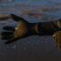 Фото #7 товара Перчатки для плавания из неопрена BUDDYSWIM Trilaminate Warmth 2,5 мм