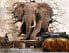 Vlies Fototapete 3D Elefant Tiere