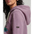 Фото #4 товара SUPERDRY Japanese Vintge Logo Graphic hoodie