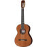 Ramirez Estudio 3 Cedar