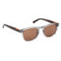 Grey/Other / Brown Polarized