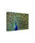 Фото #2 товара Galloimages Online 'Peacock Proud' Canvas Art - 47" x 30"