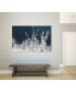 Фото #5 товара 14" x 11" Snow Ice Museum Mounted Canvas Print