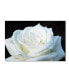 Фото #1 товара Kurt Shaffer 'White Rose II' Canvas Art - 24" x 16"