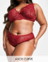 Фото #3 товара ASOS DESIGN Curve Sienna lace built up thong in burgundy