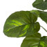 Фото #5 товара Ветка Зеленый PVC 70 x 70 x 75 cm