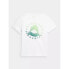 Фото #1 товара 4F Jr T-shirt 4FJSS23TTSHM283-10S