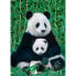 Puzzle Die Panda Familie 1000 Teile