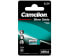 Фото #1 товара Camelion 14051444 - 4SR44 - Silver-Oxide (S) - 6.2 V - 1 pc(s) - 145 mAh - 25.1 mm