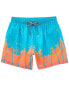 Фото #1 товара Boardies Mid-Length Swim Short Men's