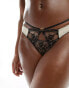 Фото #1 товара Wild Lovers Valentina delicate lace thong with strapping detail in black