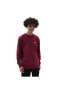 Фото #7 товара Core Basıc Crew Fleece Bordo Sweatshirt