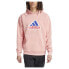 ADIDAS Future Icons Bos Oly hoodie