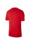 Dri-fit Park20 Ss Tee Hbr Erkek Futbol T-shirt