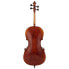 Фото #4 товара Gewa Maestro 31 Antique Cello 4/4