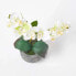 Künstliche weiß-grüne Phalaenopsis