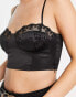 The Frolic guipure lace trim crop bralet in black