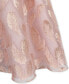 ფოტო #7 პროდუქტის Big Girls Sleeveless Burnout Organza Dress