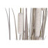 Фото #3 товара Декоративное растение DKD Home Decor тростник (45 x 45 x 150 cm)
