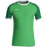 Фото #1 товара Jako Sport-Tshirt Trikot Iconic (Polyester-Interlock) Grün Kinder