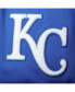 Фото #4 товара Men's Royal Kansas City Royals Team Shorts