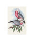 Фото #1 товара John Gould Pastel Parrots III Canvas Art - 20" x 25"